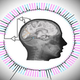 Ilustración para el artículo titulado Logran que un PC reconozca imágenes al mismo tiempo que un cerebro conectado a él